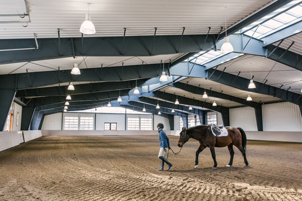 Browse VELUX case studies