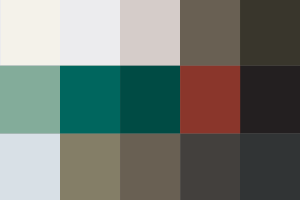 VELUX Finish Options