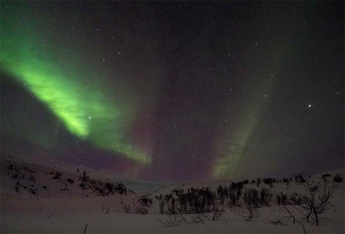 Green northern lights above snow landscape