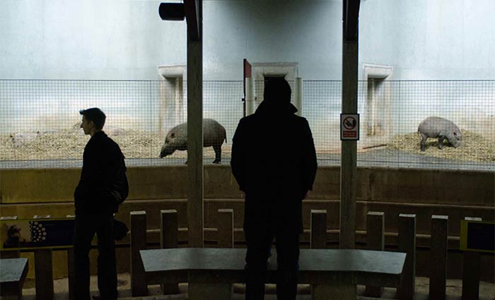 Daylight in the built-up environment