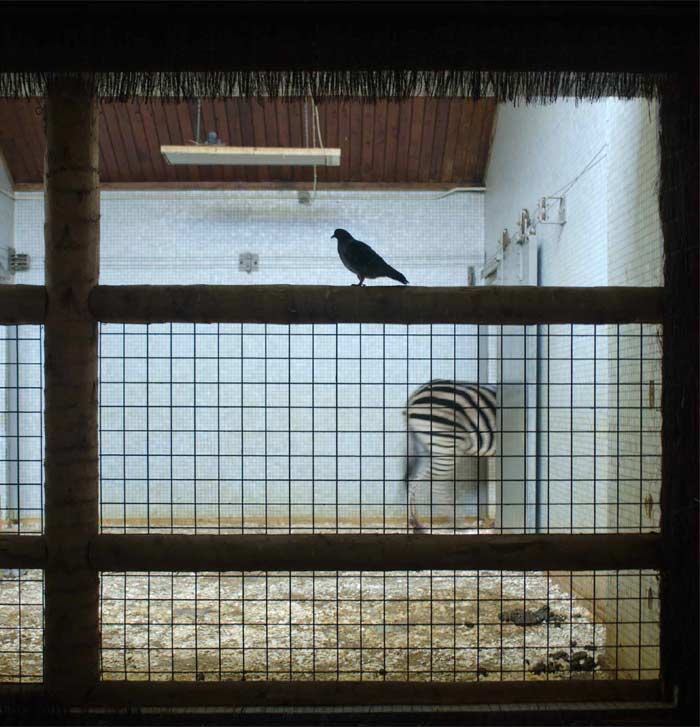 Daylight in the built-up environment