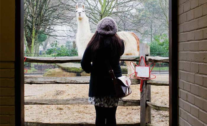 Daylight in the built-up environment