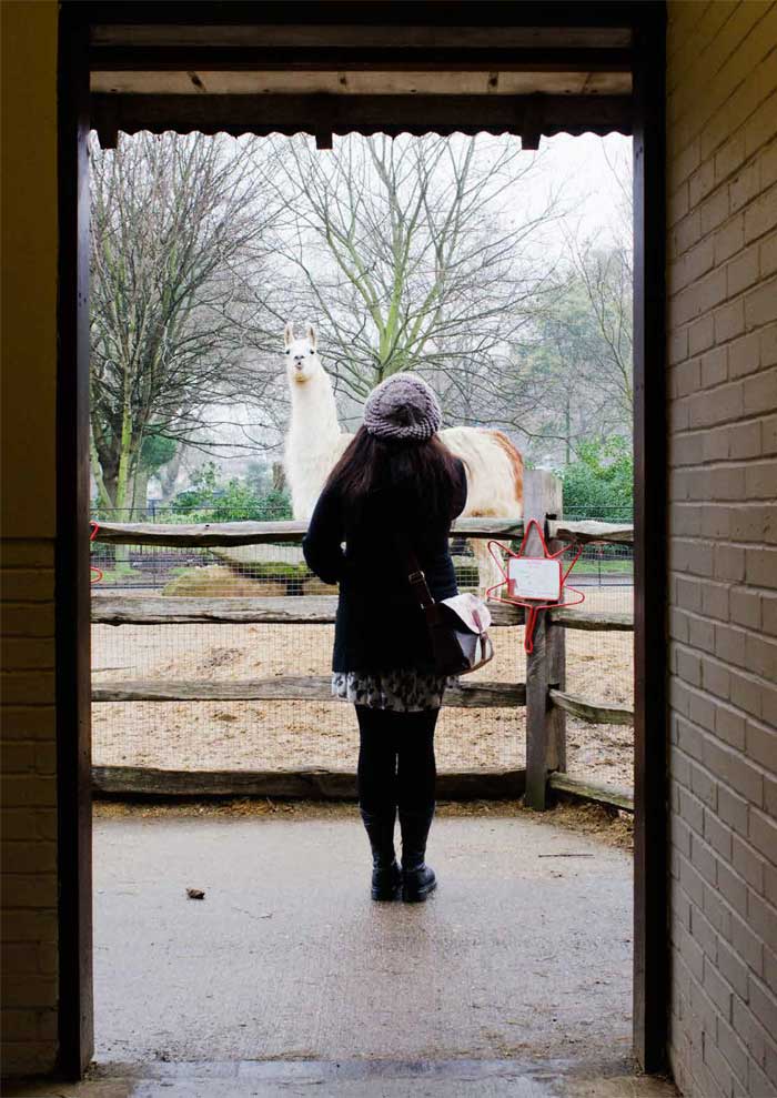 Daylight in the built-up environment