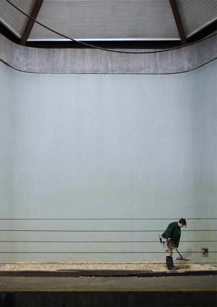 Daylight in the built-up environment