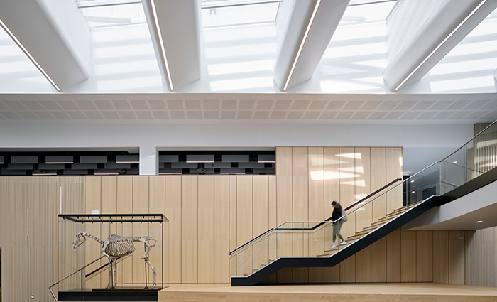 Atrium with roof windows, glass railings, and wooden paneling