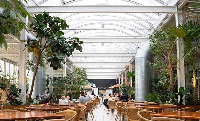 Café im Innenbereich mit durchgehenden Oberlichtern, Tischen, Stühlen und Pflanzen