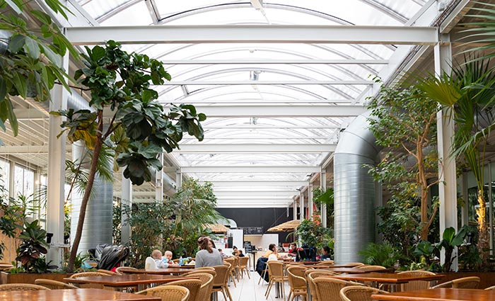 Luminatoare continue Vario în Conservatorul de fluturi