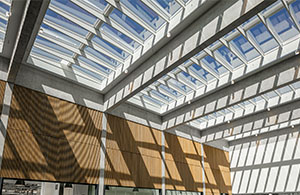 VELUX Modular Skylights improve office and warehouse conditions using natural light.