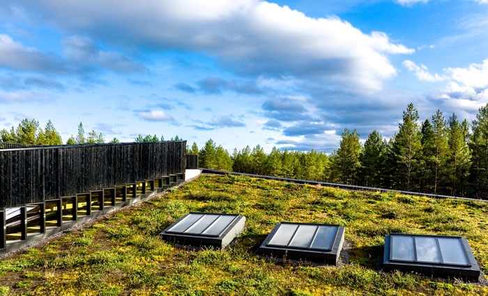 Et stort grønt tak med takvinduer på en bærekraftig bygning med utsikt over et skoglandskap under en delvis overskyet himmel.