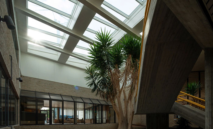 Atrium with VELUX roof window, natural light, and green plants.VMS Installation
