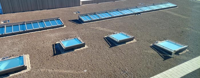 VELUX Commercial Rows and individual square rooflights
