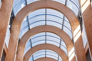 Specialist Continuous Rooflights