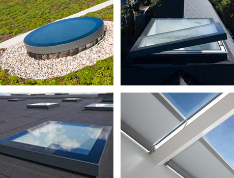 Bifold Doors
