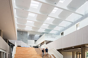 Pasmo świetlne 5-30°